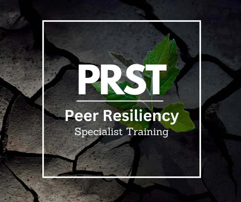 Peer Resiliency Specialist Training